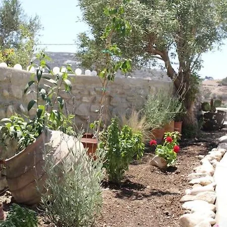 A Casa D' Irene Βίλα Πάρος